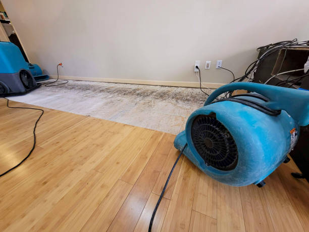 Professional Burst Pipe Water Damage technician working in Pembroke Pines, FL